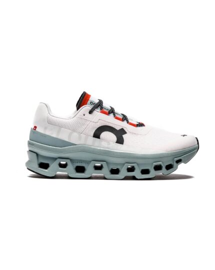 ON RUNNING CLOUDMONSTER
FROST / SURF